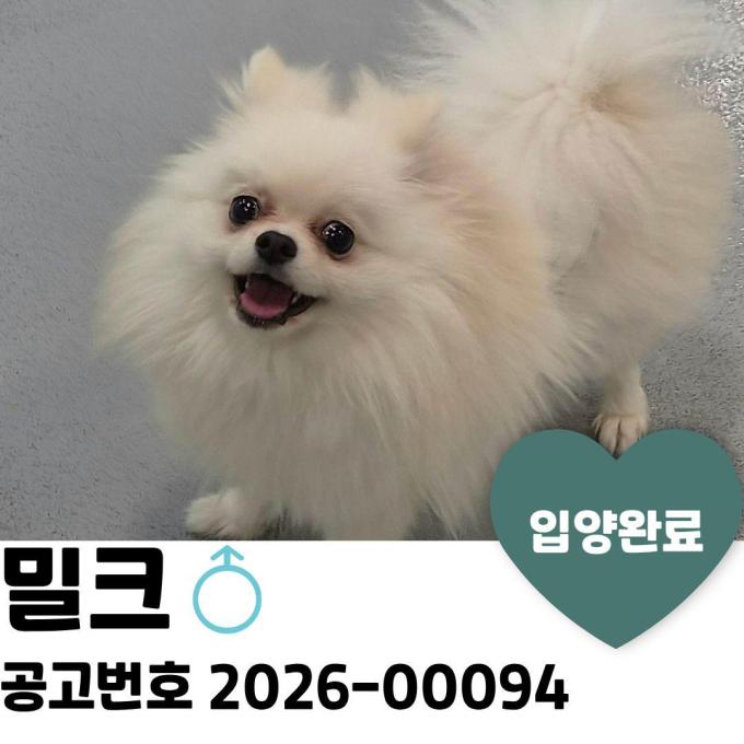 밀크_입양 완료 이미지