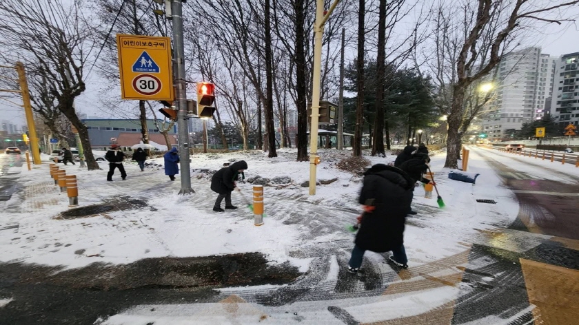 12일 보행로 제설 작업에 한창인 공무원과 민간단체(5).jpg