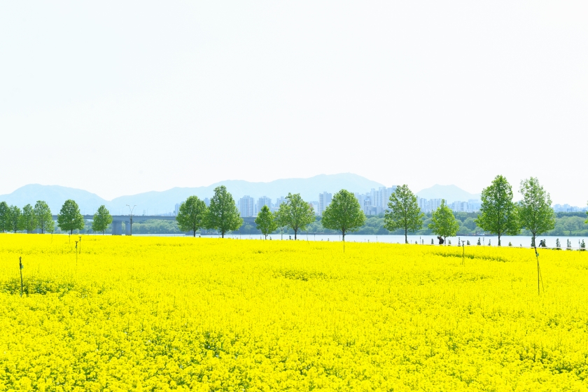 DSC_5553.jpg