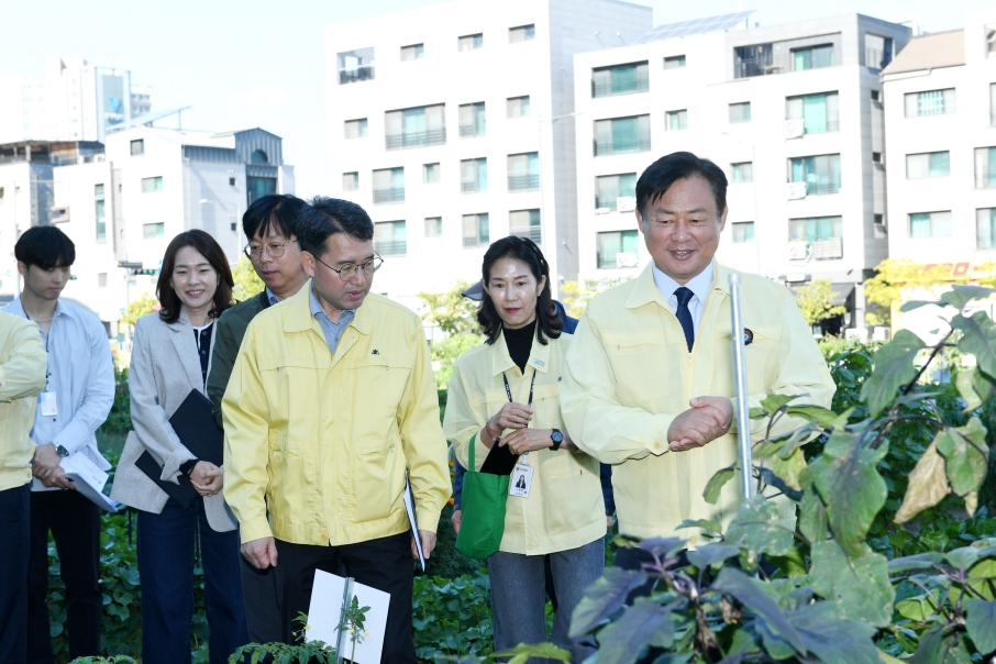 202601007 시민공감 로드체킹(도시텃밭) (7).JPG