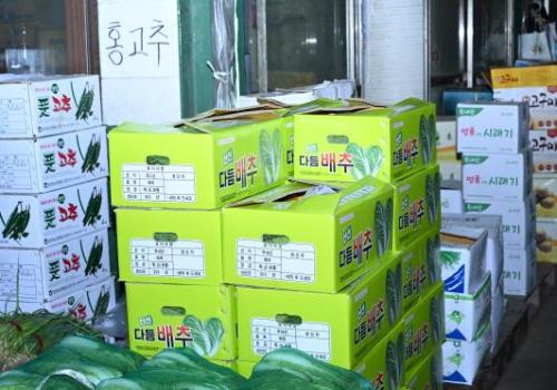 백경현 구리시장, 추석 앞두고 ‘구리농수산물도매시장 장보기’ 행사 참여 이미지
