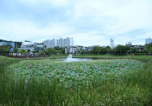 구리시 이문안호수공원 이미지