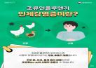 🐓조류인플루엔자(AI), 사람도 감염될 수 있습니다!🚨 이미지