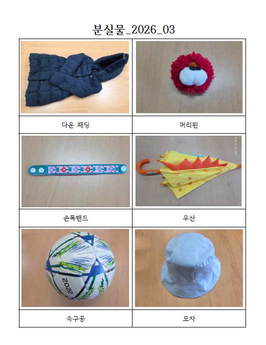 분실물 안내 이미지 1 - 본문에 자세한설명을 제공합니다.