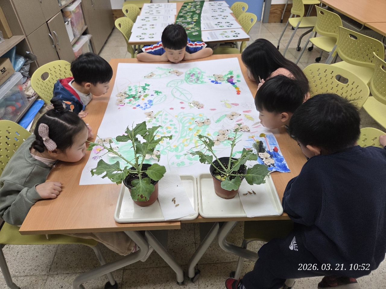 3_21 신비한 나비의 세계 이미지 1 - 본문에 자세한설명을 제공합니다.