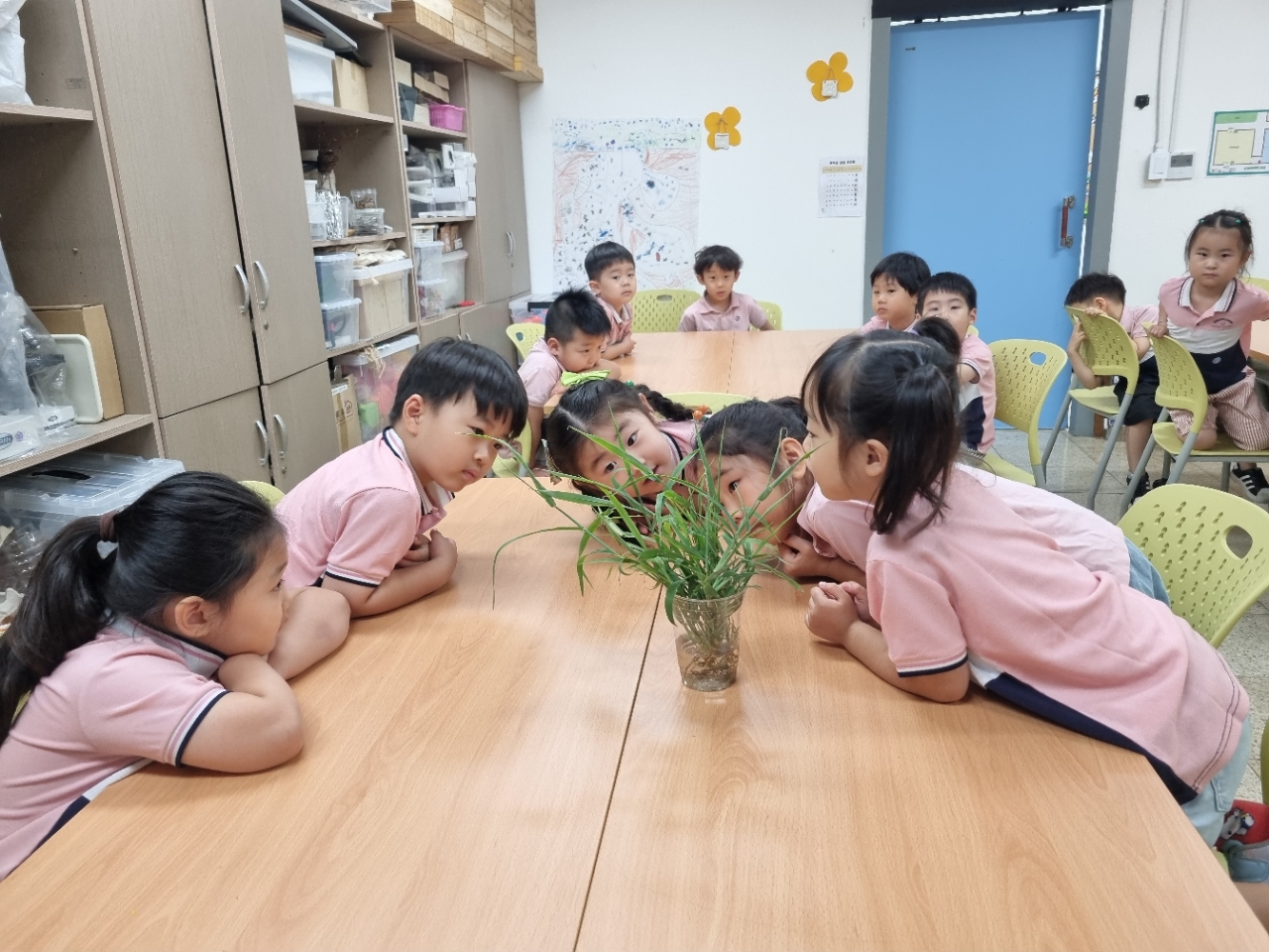 8_11 두점박이 사슴벌레는 어디에 살까? 이미지 2 - 본문에 자세한설명을 제공합니다.