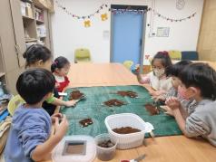 2_6 꽃무지 애벌레 키우기 이미지