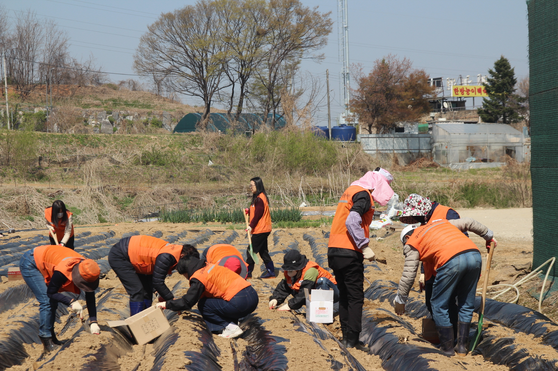구리시자원봉사센터, 2026년 도시 텃밭 자원봉사단 운영 시작 이미지 2 - 본문에 자세한설명을 제공합니다.