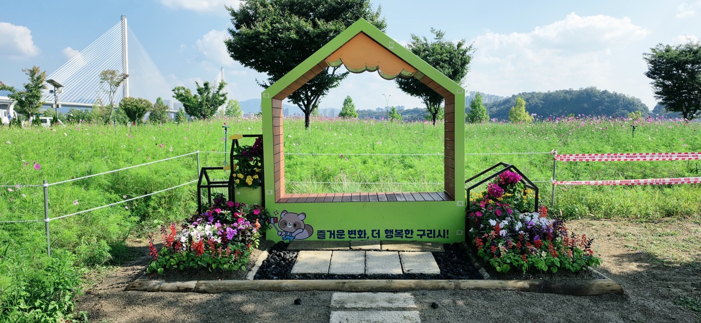 구리시, 코스모스 축제장 곳곳 꽃단장으로 볼거리 풍성 이미지 3 - 본문에 자세한설명을 제공합니다.