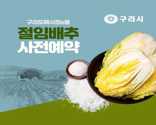 해남 절임배추 새벽배송 예약 이미지