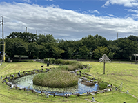 1층 생태연못 이미지