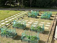 1층 상자텃밭 이미지