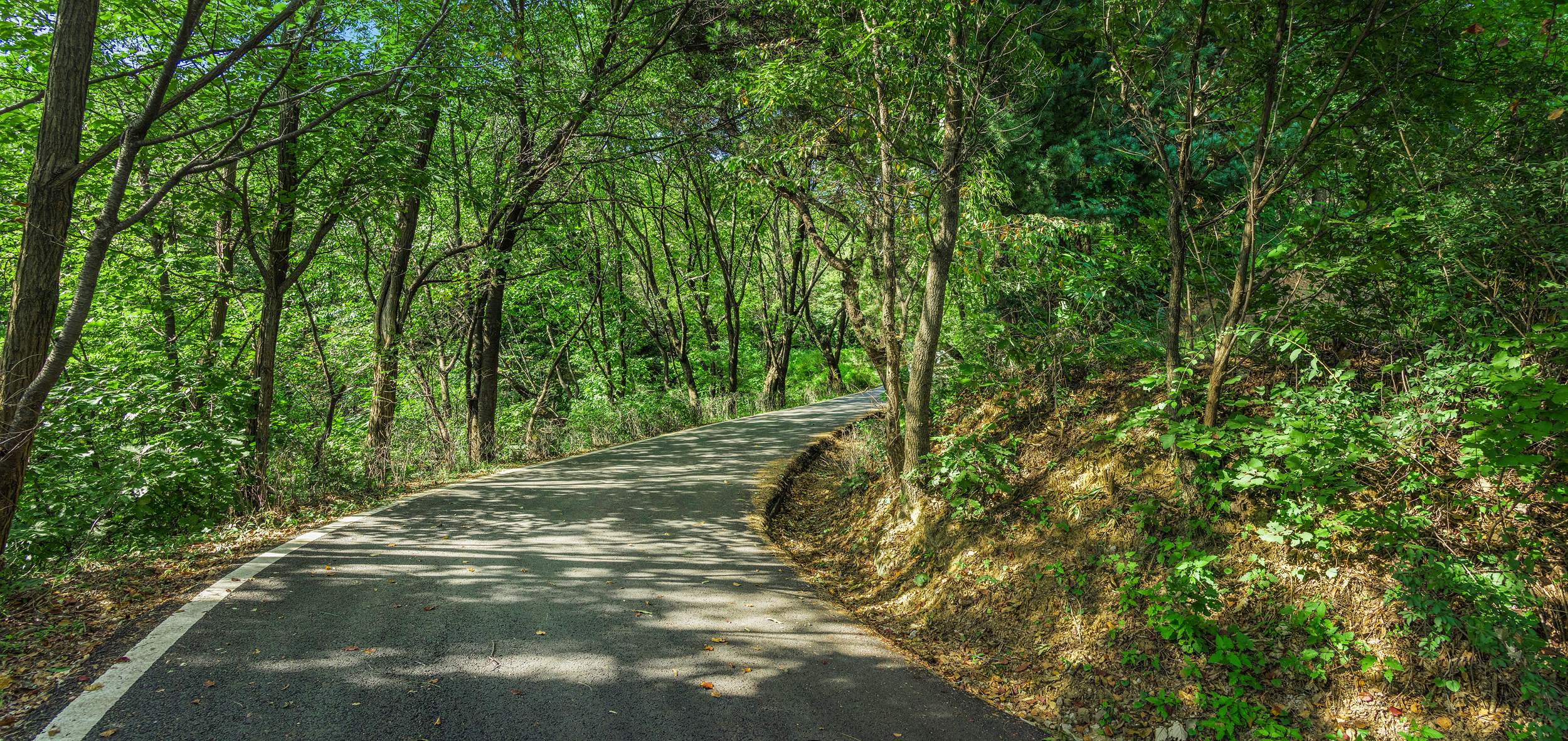 망우산순환로 4 이미지 1 - 본문에 자세한설명을 제공합니다.