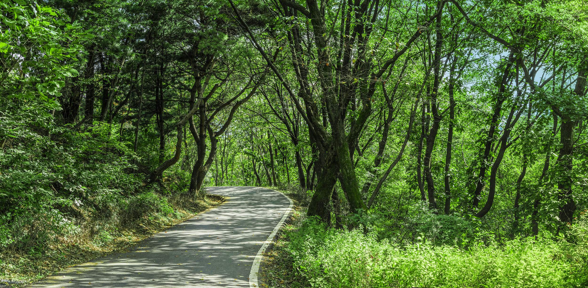망우산순환로 2 이미지 1 - 본문에 자세한설명을 제공합니다.