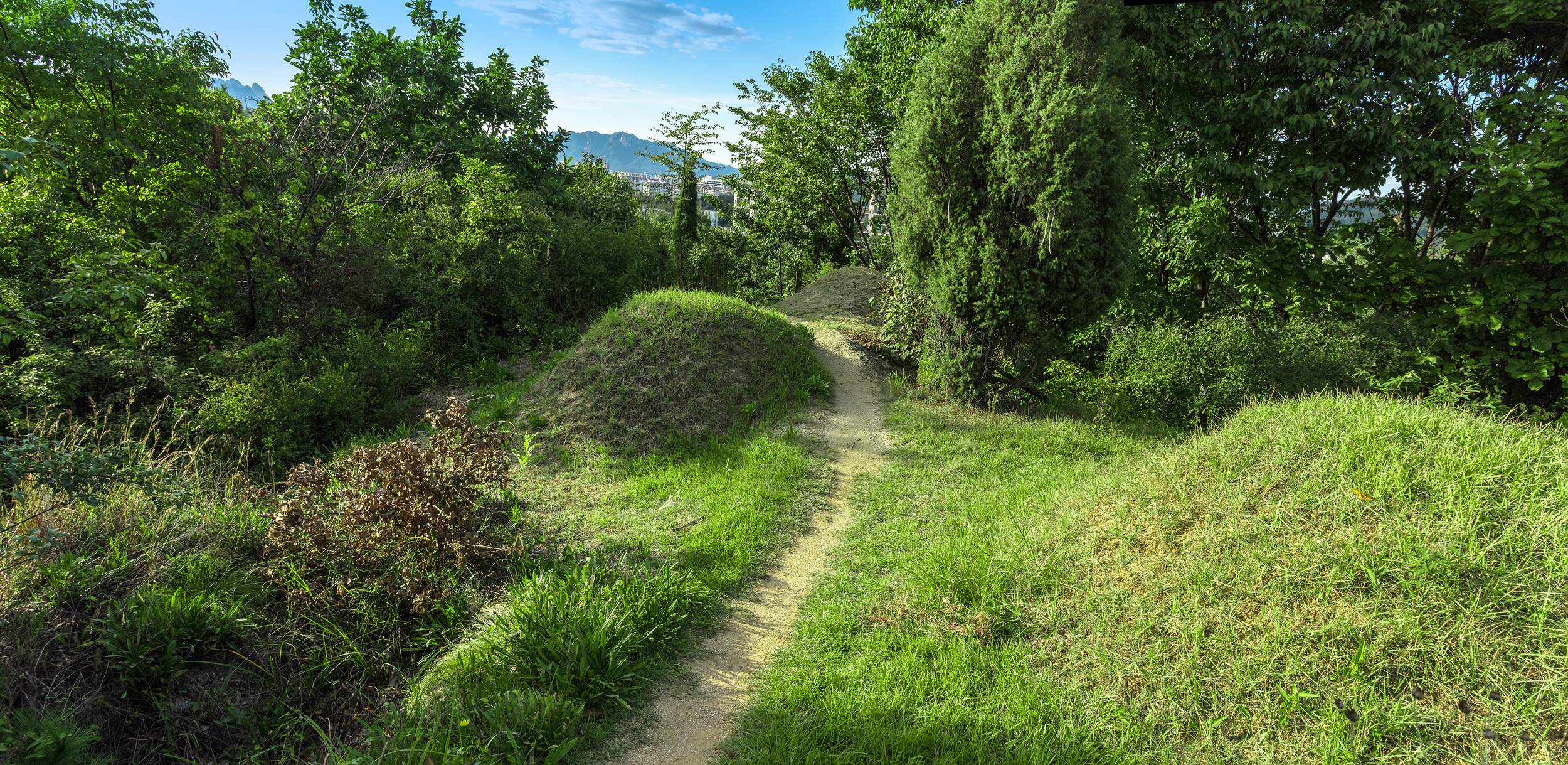 망우산 순환로에서 서동일 묘소 찾아가는 길 어디쯤 이미지 1 - 본문에 자세한설명을 제공합니다.
