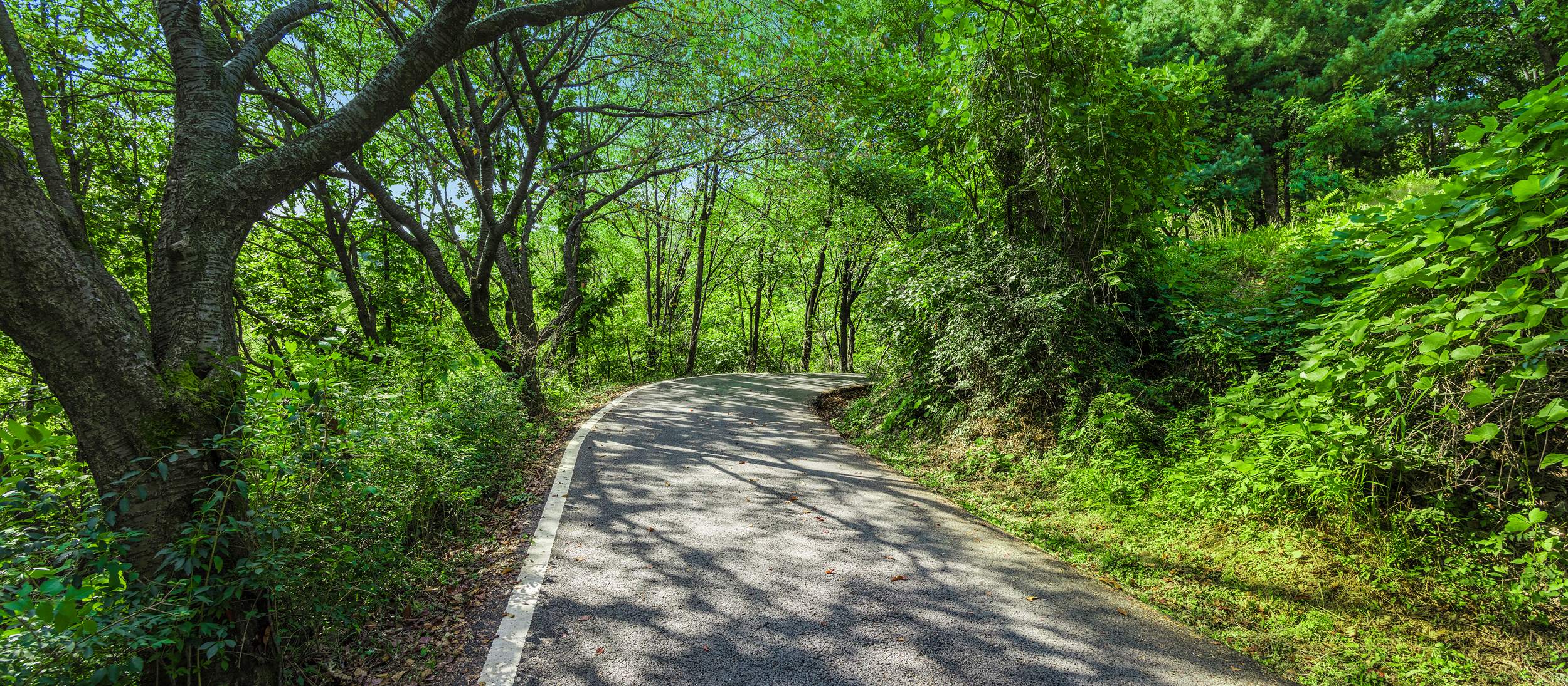망우산순환로 3 이미지 1 - 본문에 자세한설명을 제공합니다.