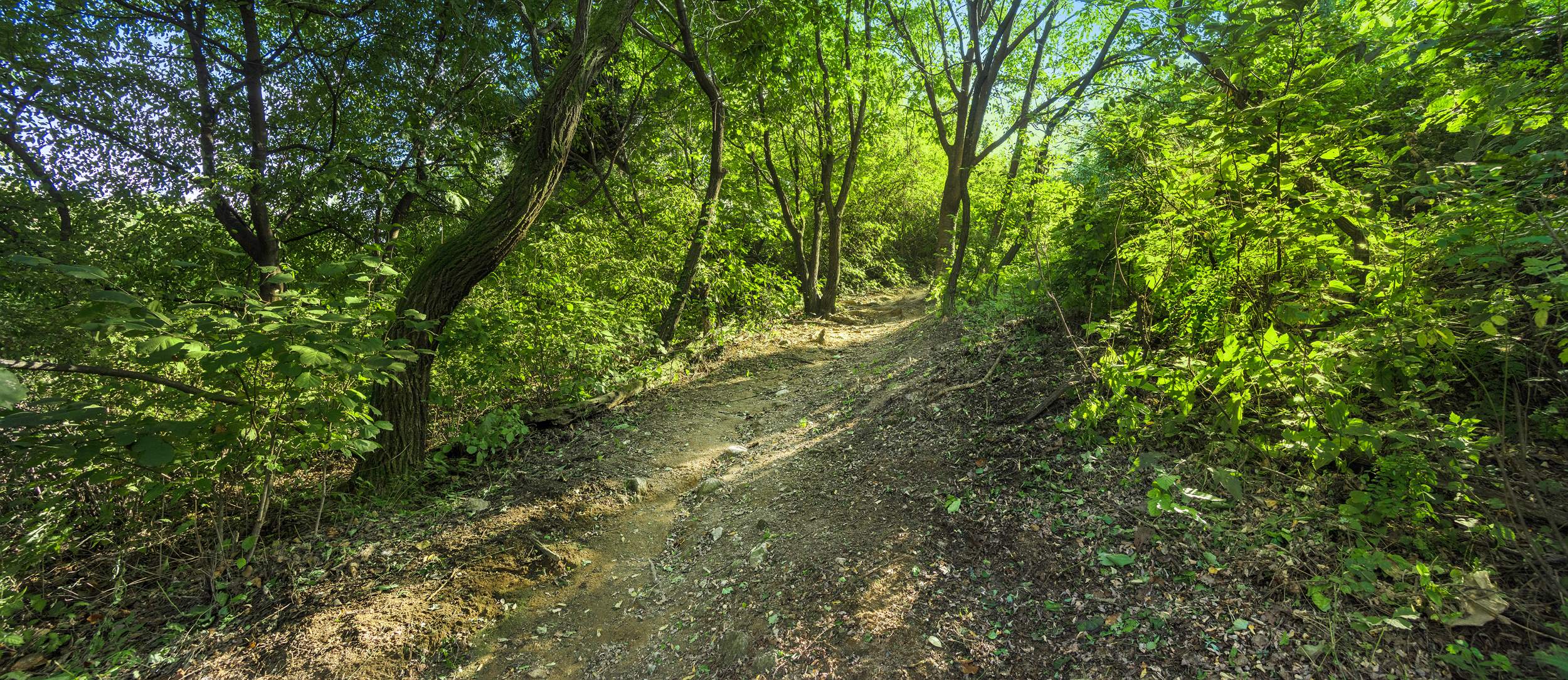 망우산순환로 5 이미지 1 - 본문에 자세한설명을 제공합니다.