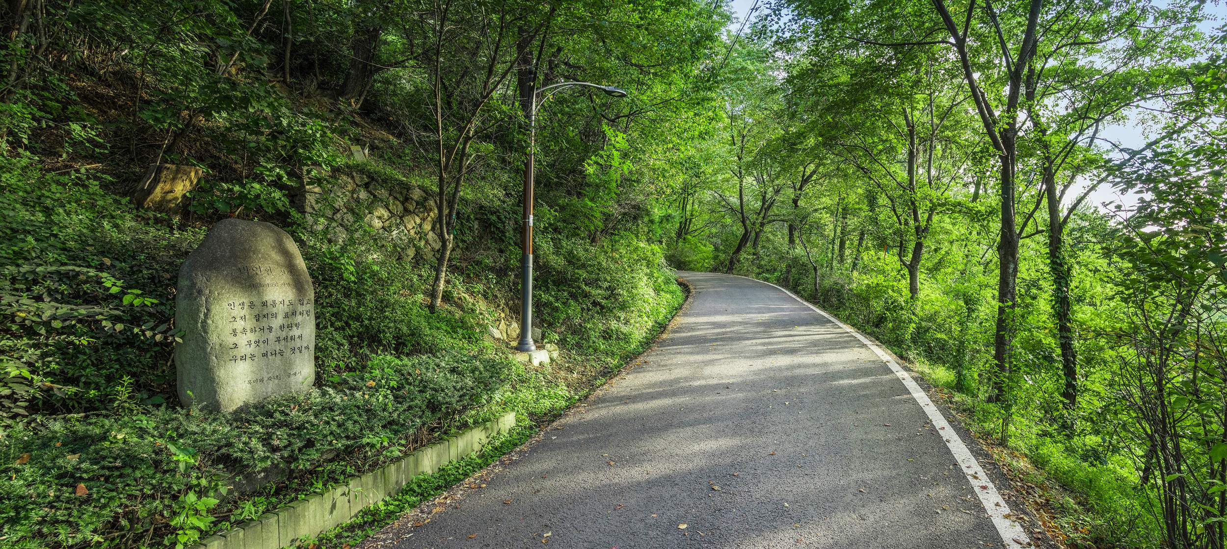 망우산순환로 7 이미지 1 - 본문에 자세한설명을 제공합니다.
