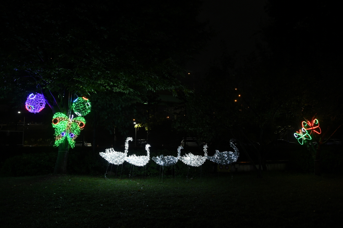 코스모스단지 LED 야경 이미지 20 - 본문에 자세한설명을 제공합니다.