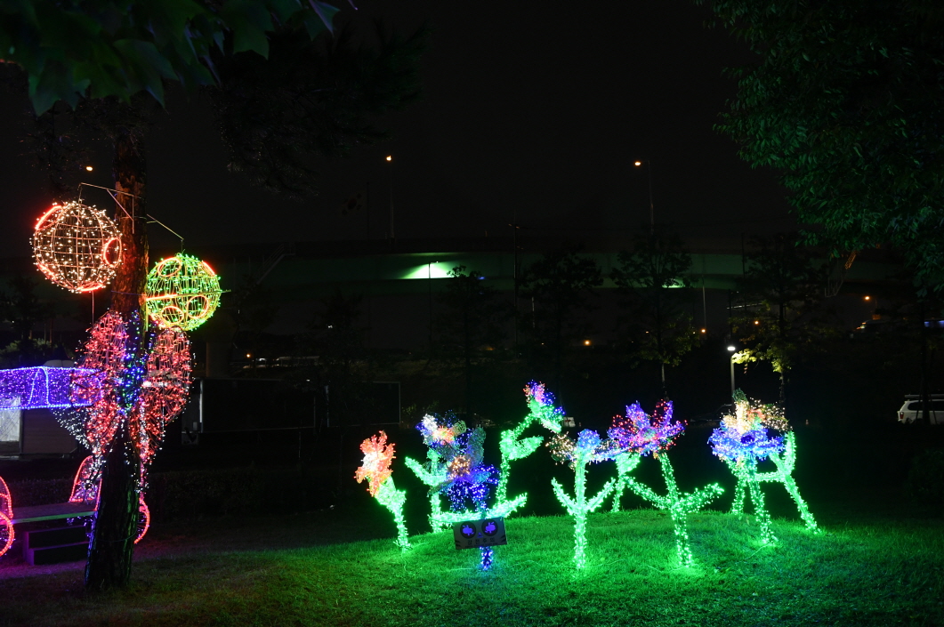 코스모스단지 LED 야경 이미지 21 - 본문에 자세한설명을 제공합니다.