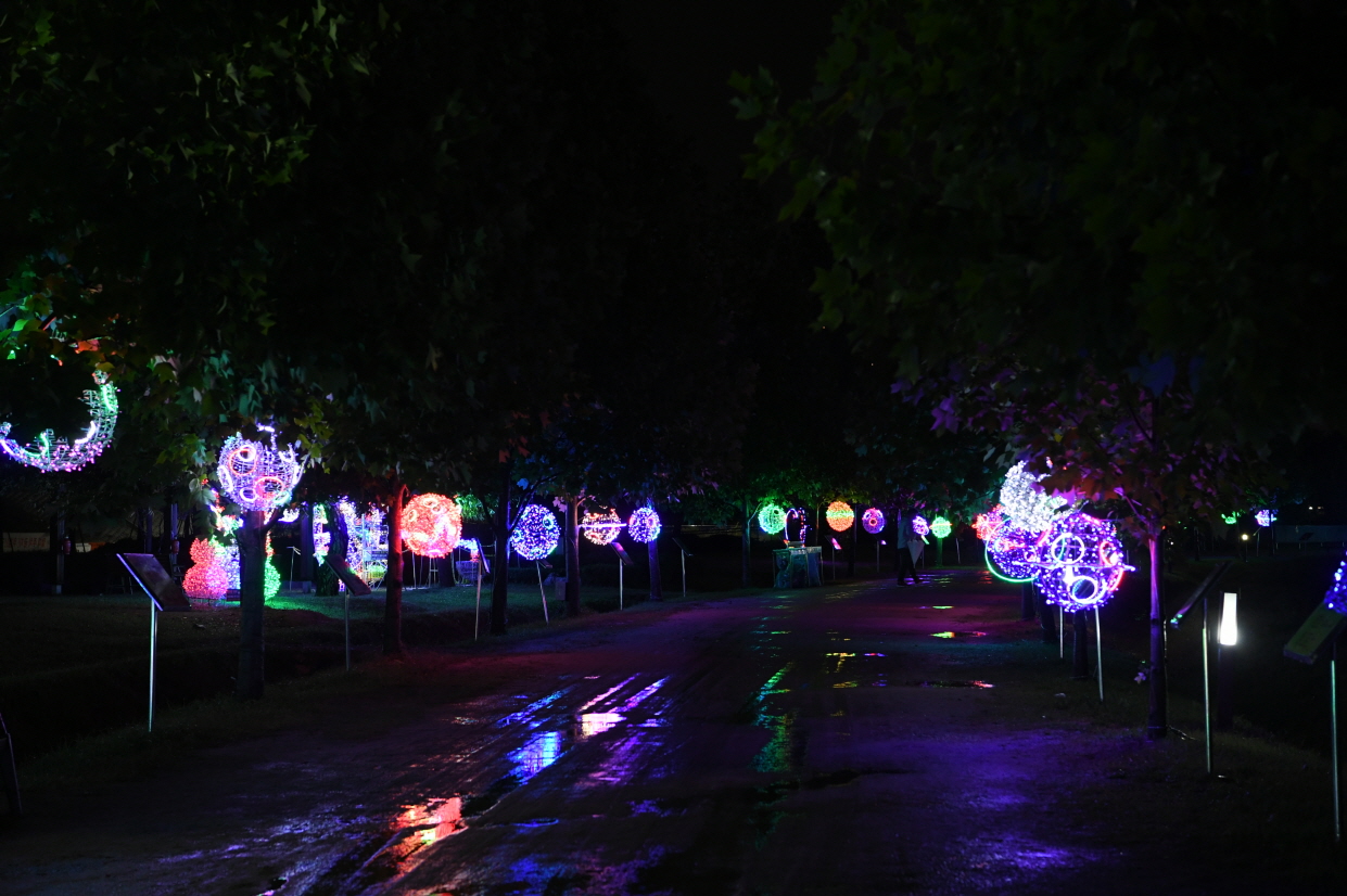 코스모스단지 LED 야경 이미지 24 - 본문에 자세한설명을 제공합니다.