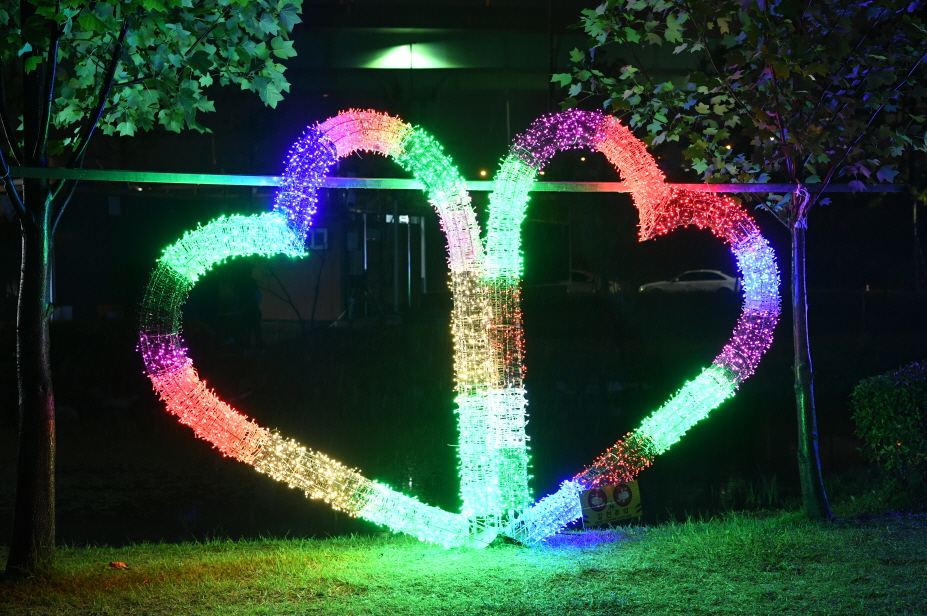 코스모스단지 LED 야경 이미지 23 - 본문에 자세한설명을 제공합니다.