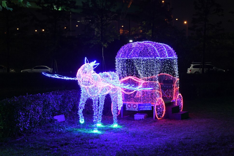 코스모스단지 LED 야경 이미지 22 - 본문에 자세한설명을 제공합니다.