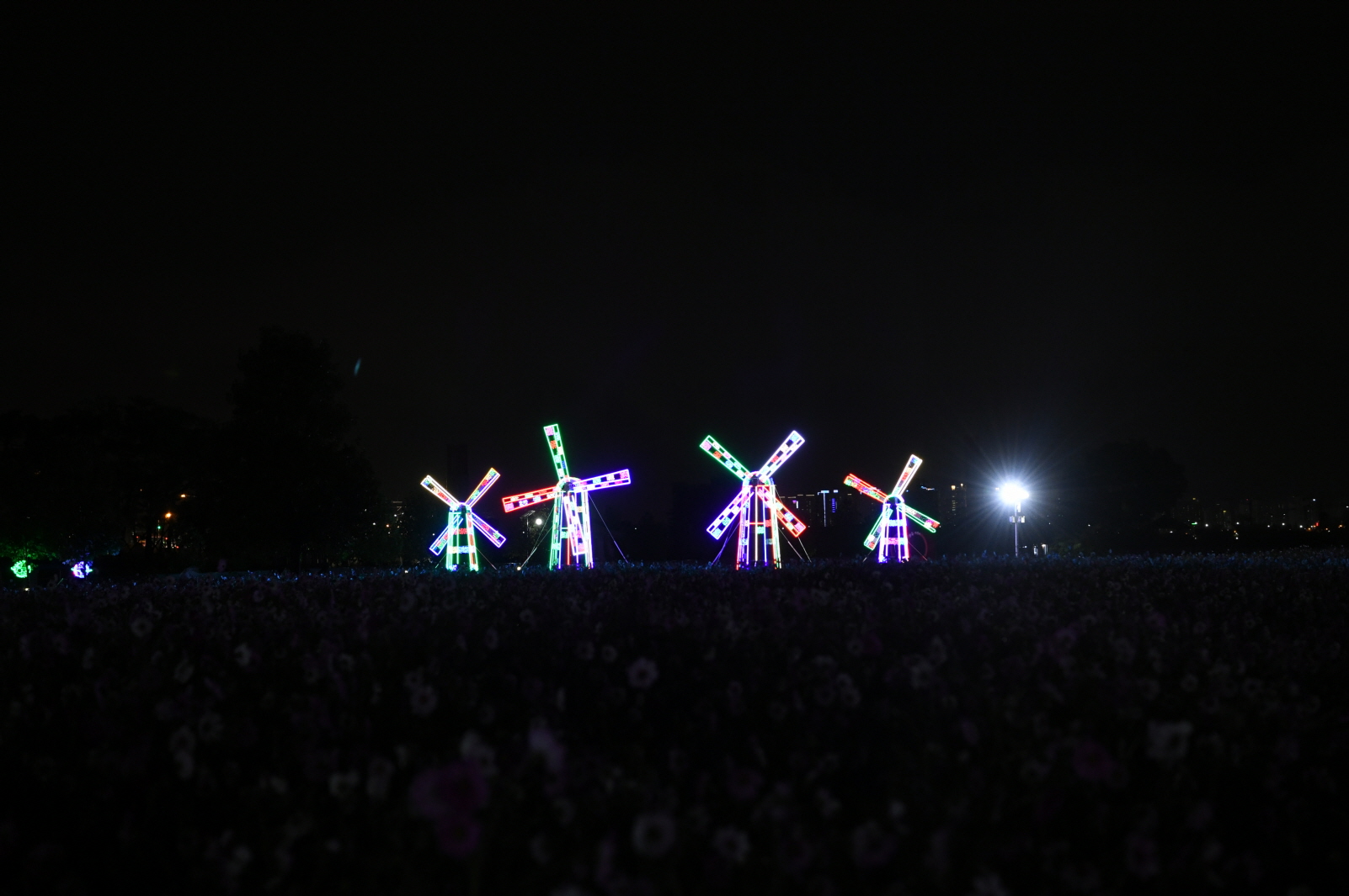 코스모스단지 LED 야경 이미지 25 - 본문에 자세한설명을 제공합니다.