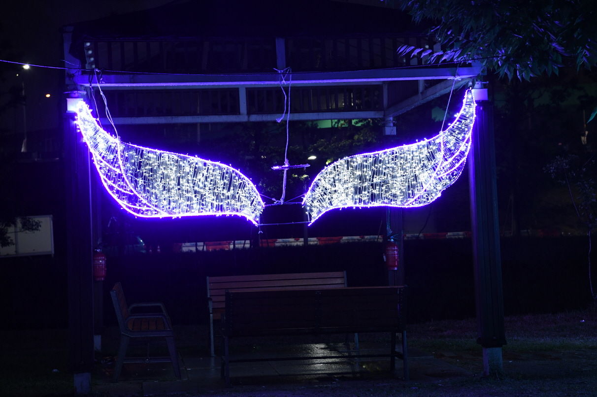 코스모스단지 LED 야경 이미지 41 - 본문에 자세한설명을 제공합니다.