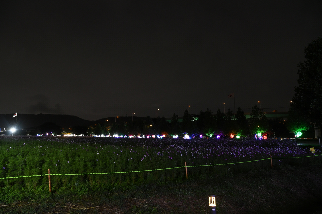 코스모스단지 LED 야경 이미지 8 - 본문에 자세한설명을 제공합니다.