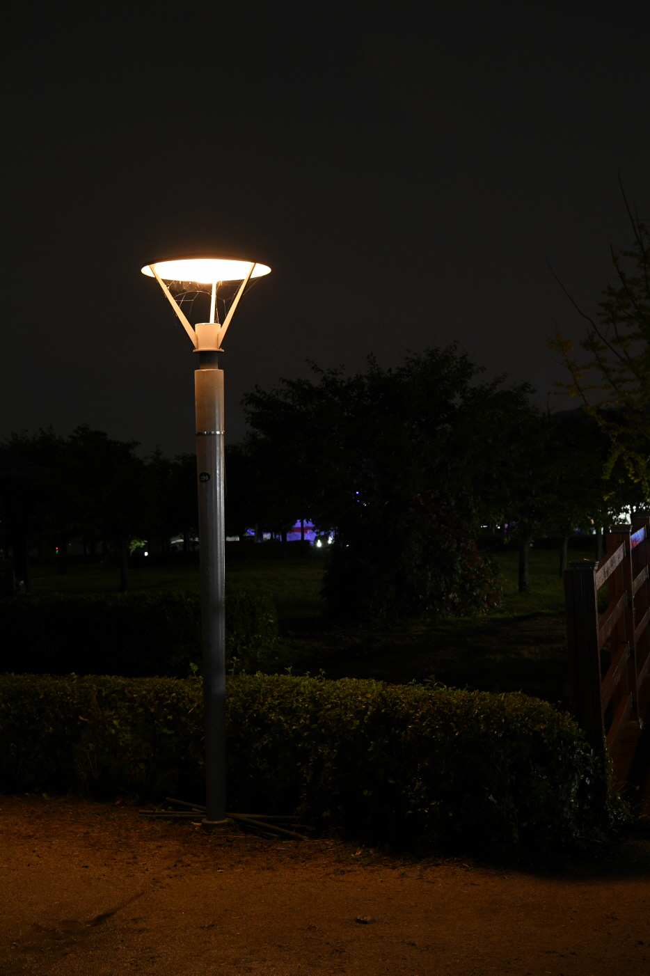 코스모스단지 LED 야경 이미지 1 - 본문에 자세한설명을 제공합니다.
