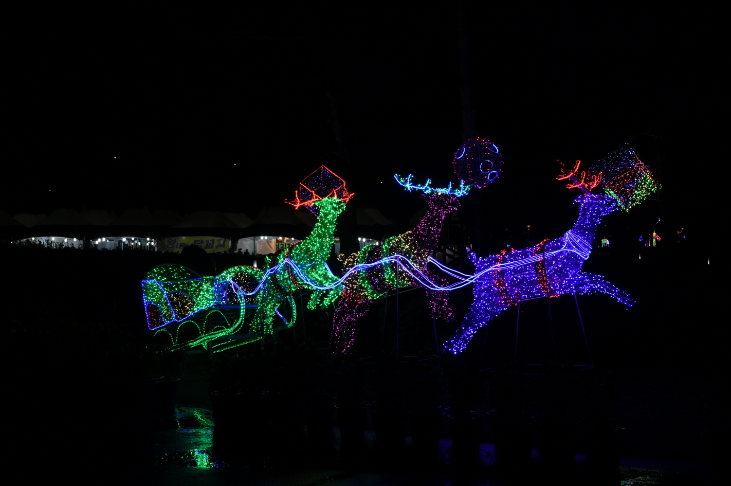 코스모스단지 LED 야경 이미지 40 - 본문에 자세한설명을 제공합니다.