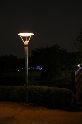 코스모스단지 LED 야경 이미지