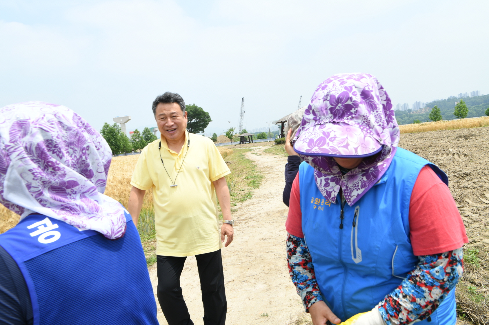한강 보리베기 작업 이미지 12 - 본문에 자세한설명을 제공합니다.