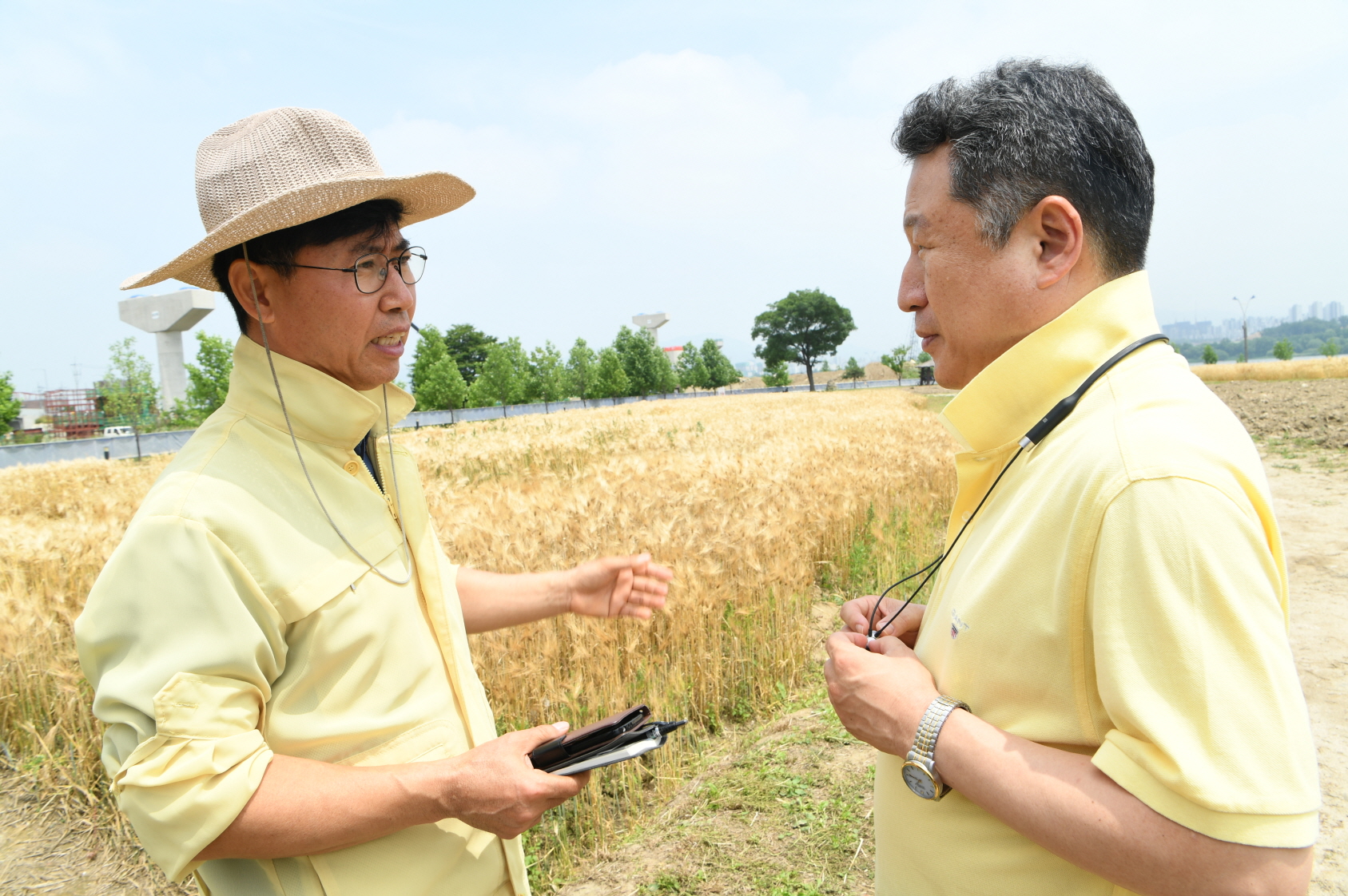 한강 보리베기 작업 이미지 10 - 본문에 자세한설명을 제공합니다.