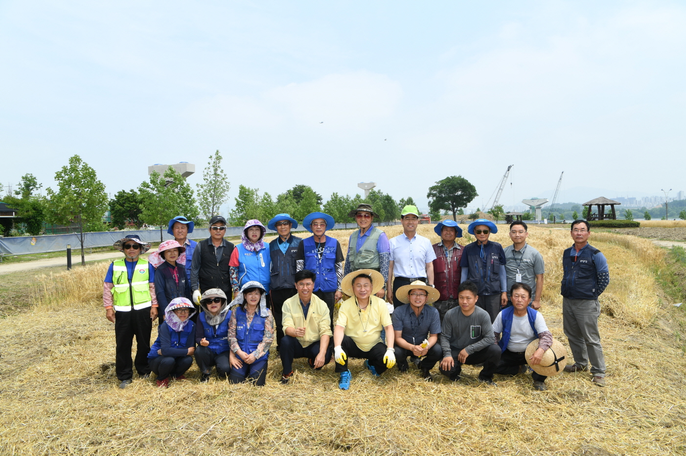 한강 보리베기 작업 이미지 18 - 본문에 자세한설명을 제공합니다.