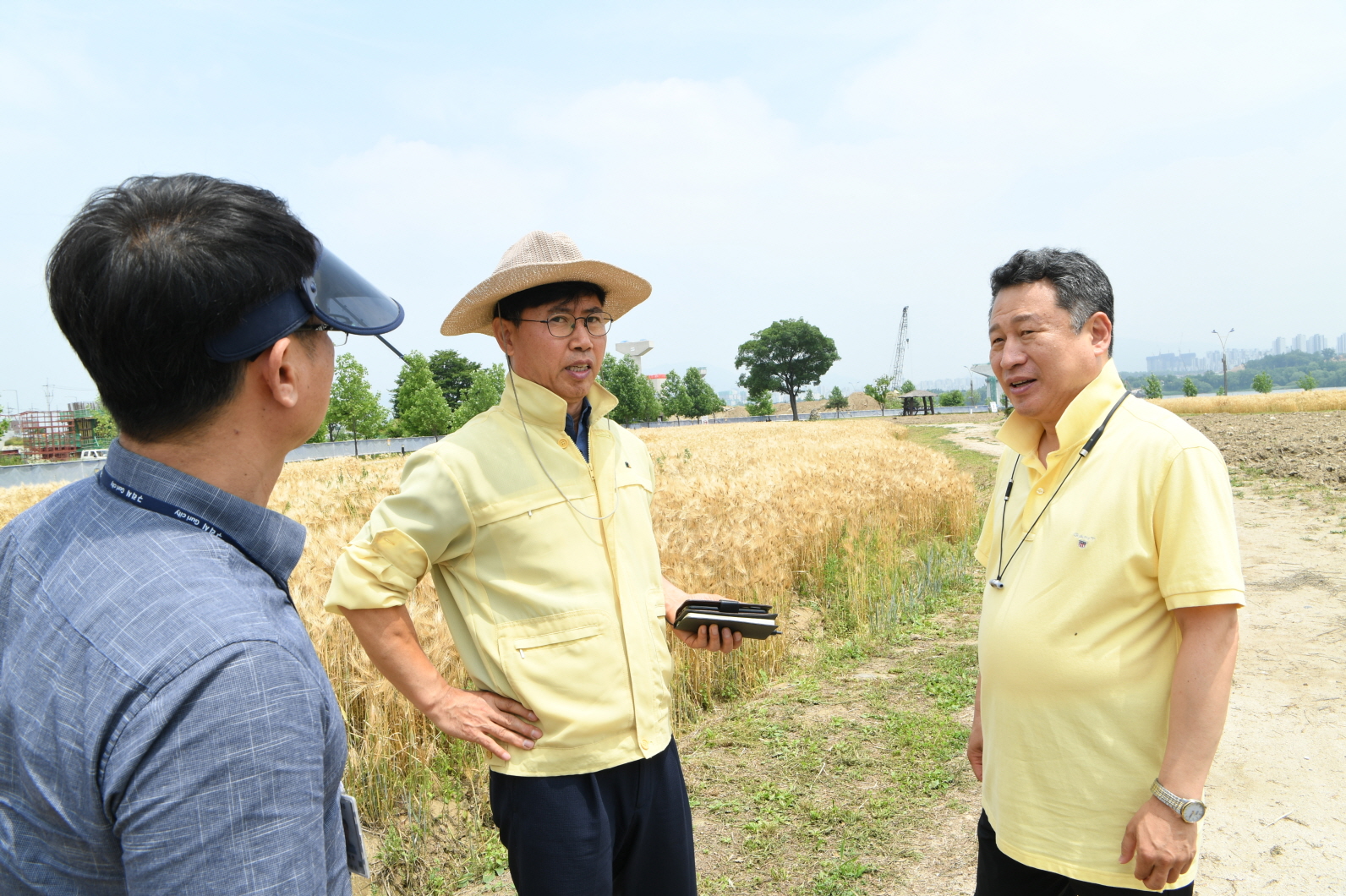 한강 보리베기 작업 이미지 11 - 본문에 자세한설명을 제공합니다.