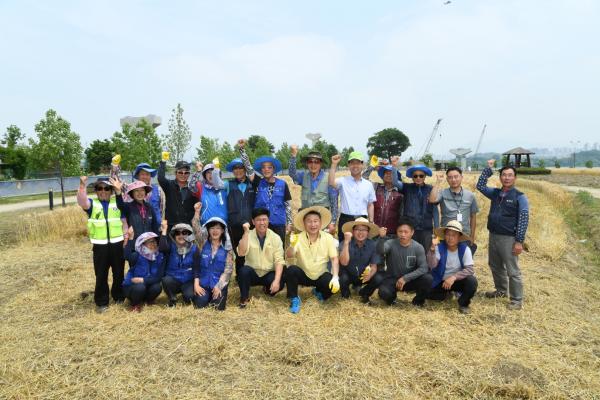 한강 보리베기 작업 이미지