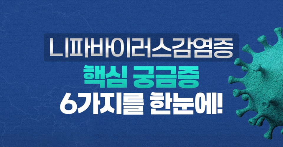 니파바이러스감염증
핵심 궁금증
6가지를 한눈에!!