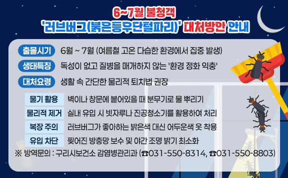 6~7월 불청객 '러브버그(붉은등우단털파리)' 대처방안 안내
출몰시기 : 6월 ~ 7월 (여름철 고온 다습한 환경에서 집중 발생)
생태특징 : 독성이 없고 질병을 매개하지 않는 '환경 정화 익충'
대처요령 : 생활 속 간단한 물리적 퇴치법 권장
- [물기 활용] 벽이나 창문에 붙어있을 때 분무기로 물 뿌리기
- [물리적 제거] 실내 유입 시 빗자루나 진공청소기를 활용하여 처리
- [복장 주의] 러브버그가 좋아하는 밝은색 대신 어두운색 옷 착용
- [유입 차단] 찢어진 방충망 보수 및 야간 조명 밝기 최소화
 ※ 방역문의 : 구리시보건소 감염병관리과 (☎031-550-8314, ☎031-550-8803)