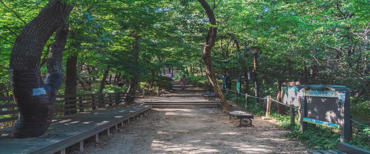 아차산&고구려대장간마을 이미지