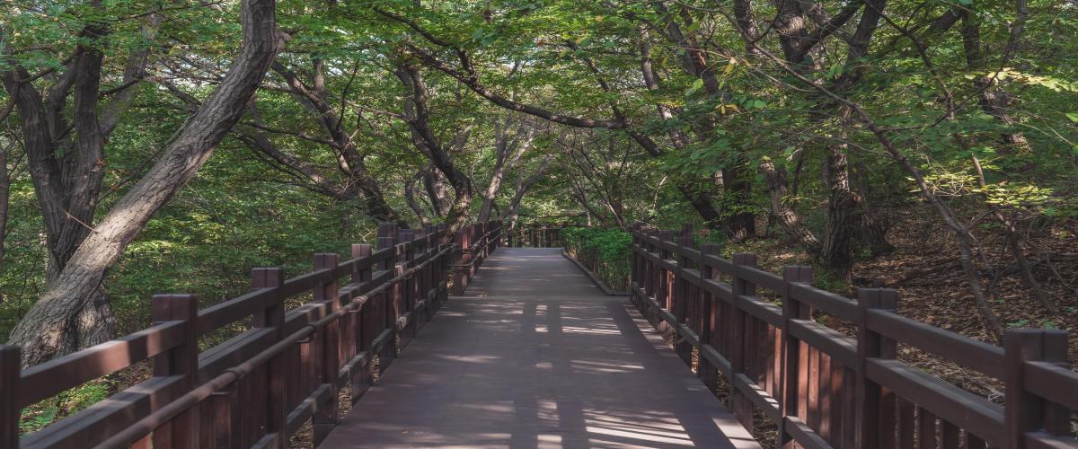 갈매구릉산자락길(무장애나눔길) 이미지