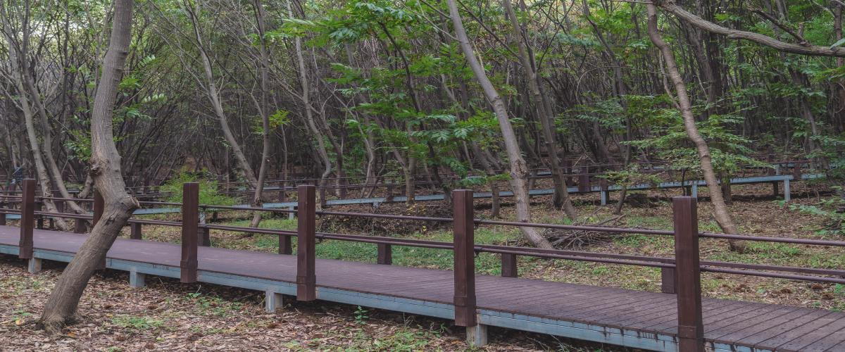 갈매구릉산자락길(무장애나눔길) 이미지