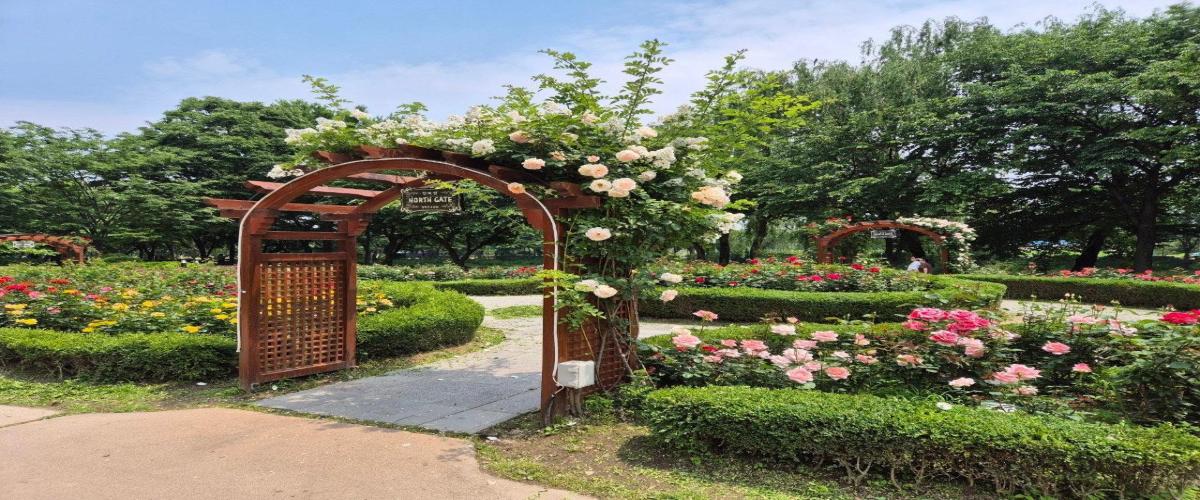 장자호수공원 이미지