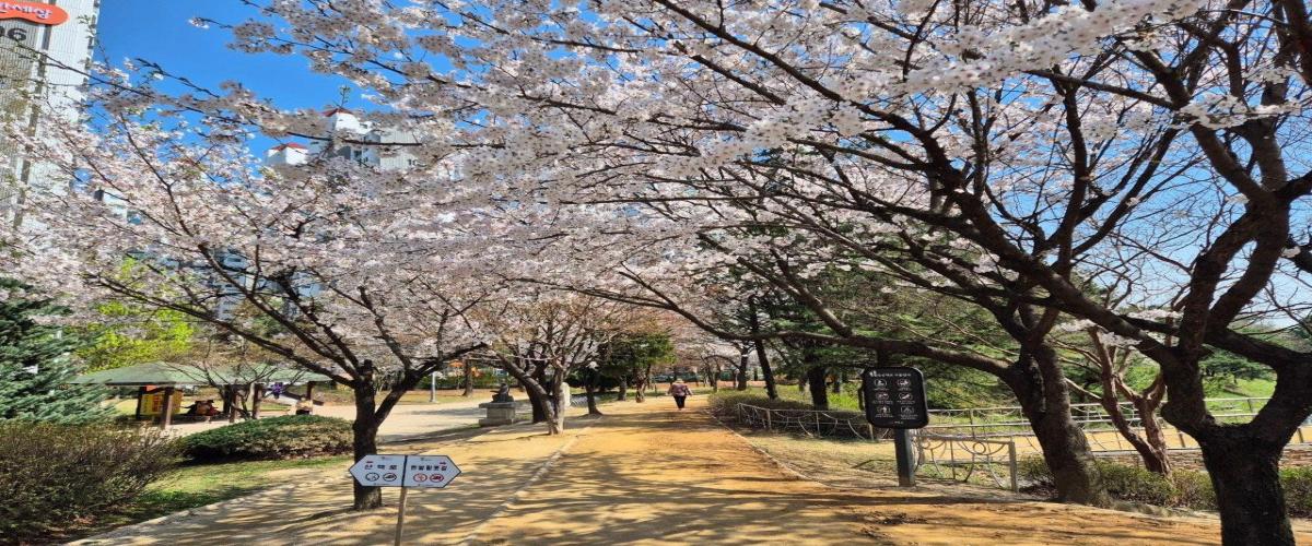 장자호수공원 이미지