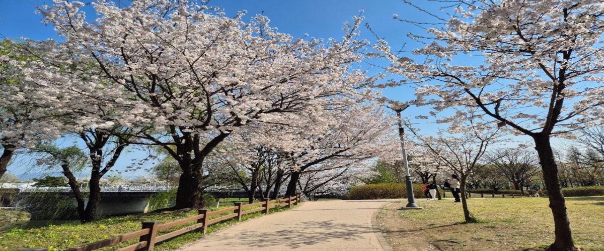 장자호수공원 이미지