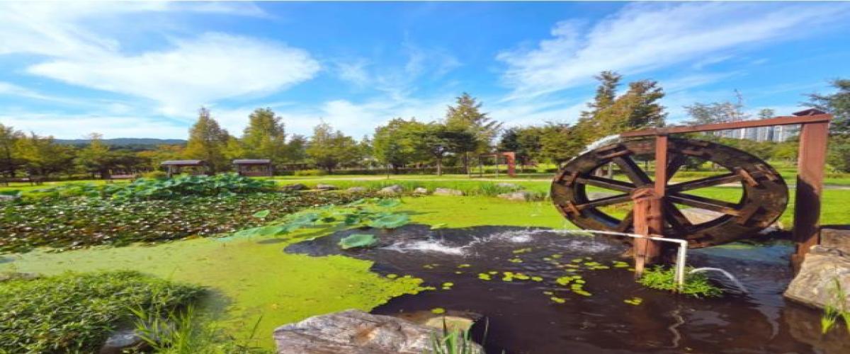 장자호수공원 이미지