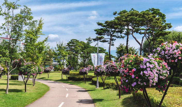 Jangja Lake Park img1