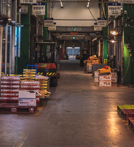 Guri Farm,Fishery Wholesale Market img2