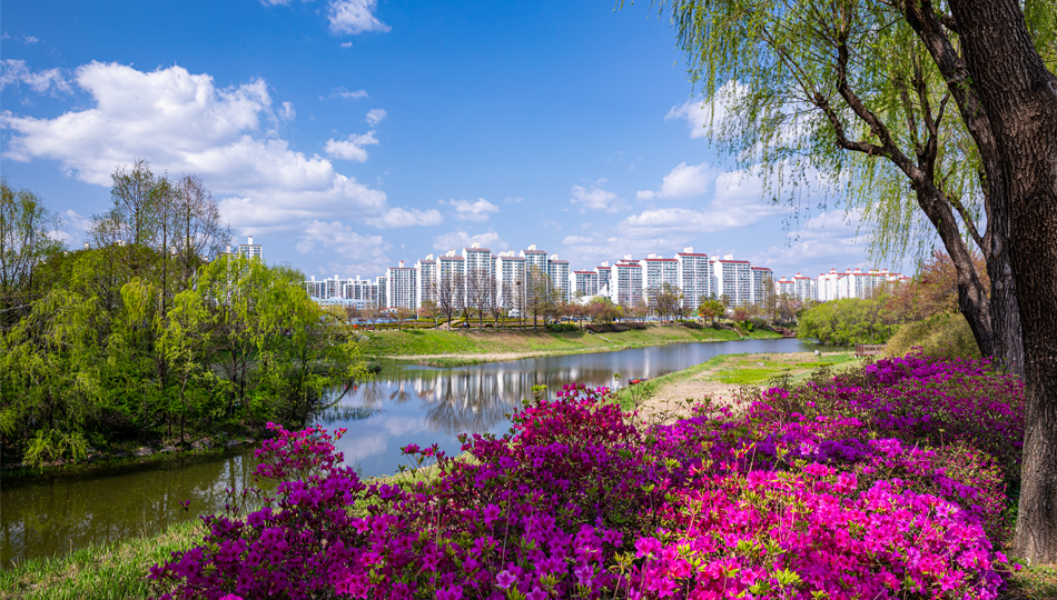 Jangja Lake Park photo